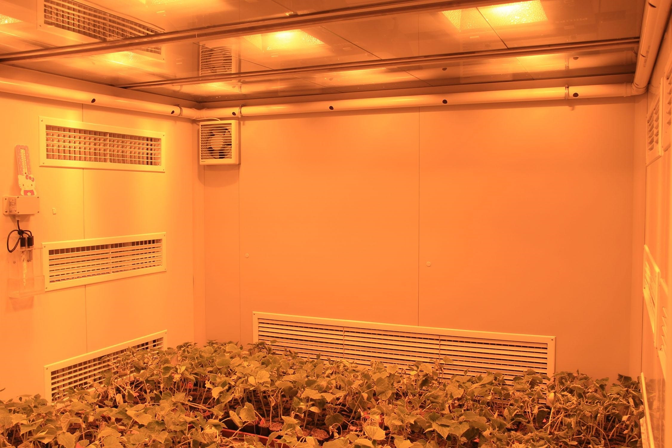 人工氣候室 人工氣候室